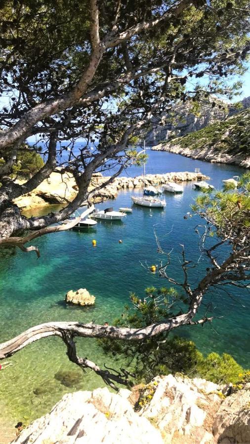 Le Sept Aux Portes Des Calanques Appartement Cassis